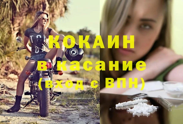 прущие грибы Балабаново