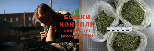 прущие грибы Балабаново