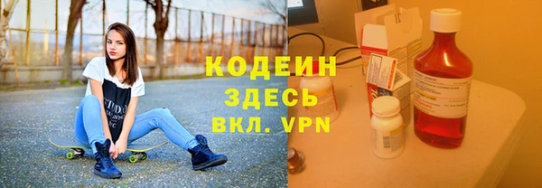 прущие грибы Балабаново