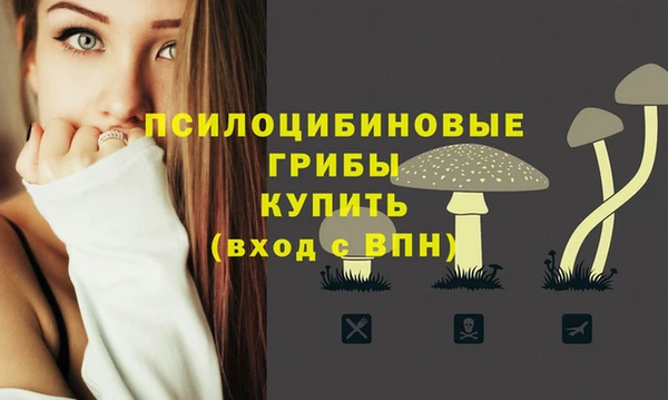 ПСИЛОЦИБИНОВЫЕ ГРИБЫ Балахна