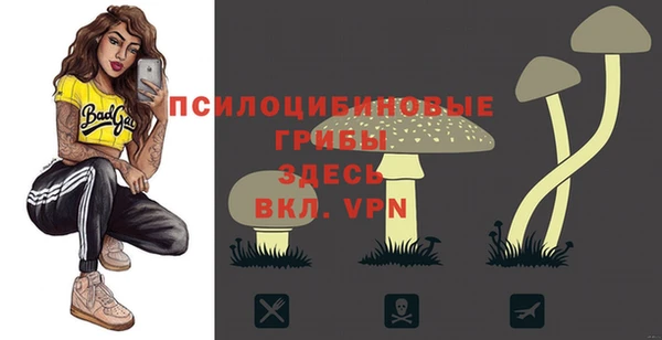 ПСИЛОЦИБИНОВЫЕ ГРИБЫ Балахна