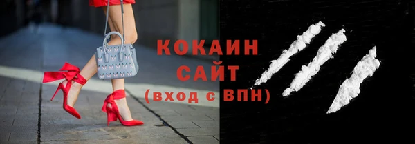 прущие грибы Балабаново