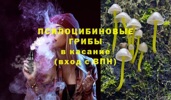 прущие грибы Балабаново