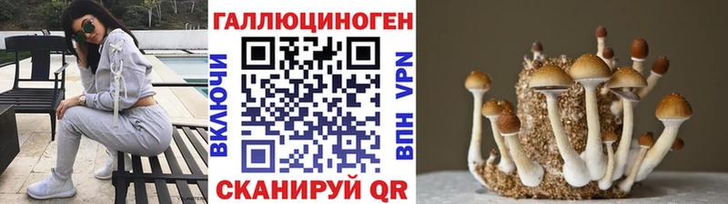 mega как войти  Белоярский  shop состав  Галлюциногенные грибы GOLDEN TEACHER 